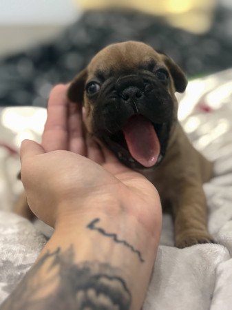 6000 Kecskemét Irsai Olivér utca 44/c