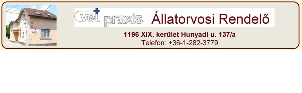 Vet-Praxis Állatorvosi Rendelõintézet