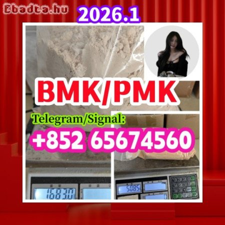 China Supplier BMK，PMK，