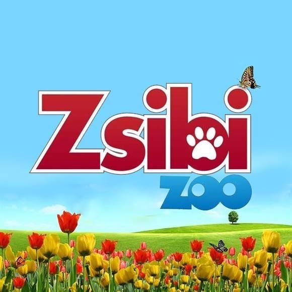 ZsibiZoo