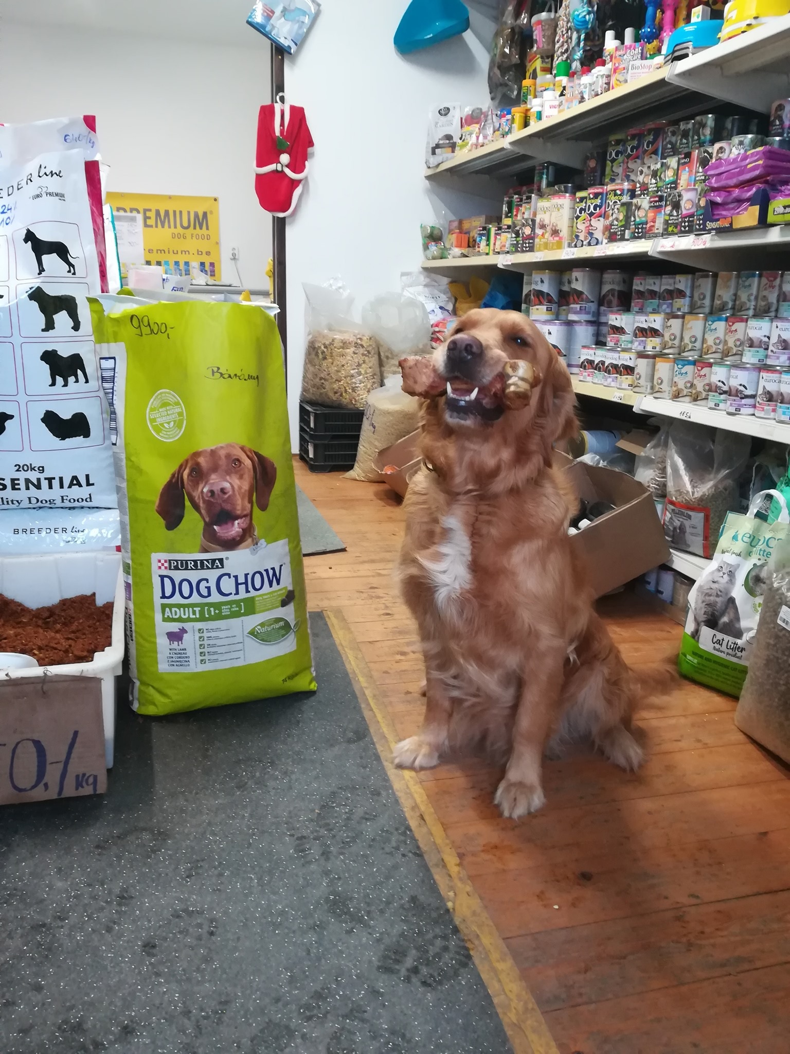 DOG FOOD Állateledel és takarmány bolt