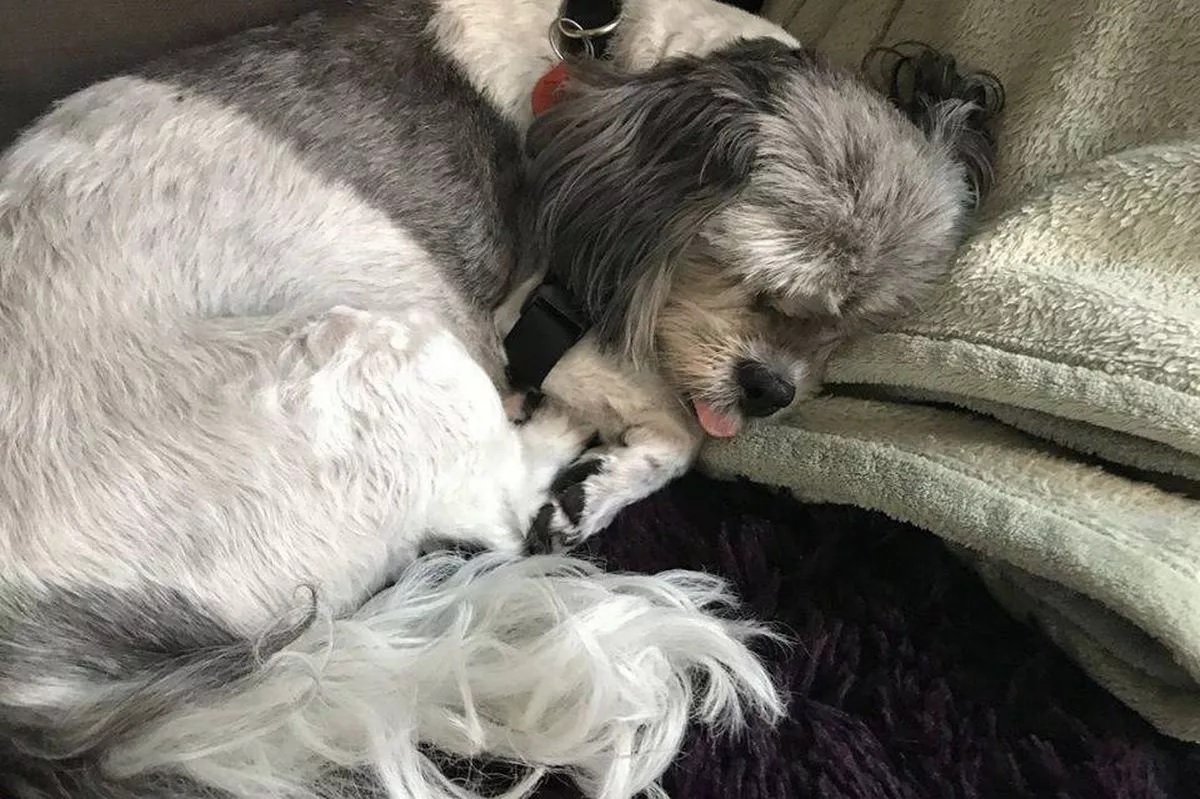 Mindennapi eszköz okozott mérgezést