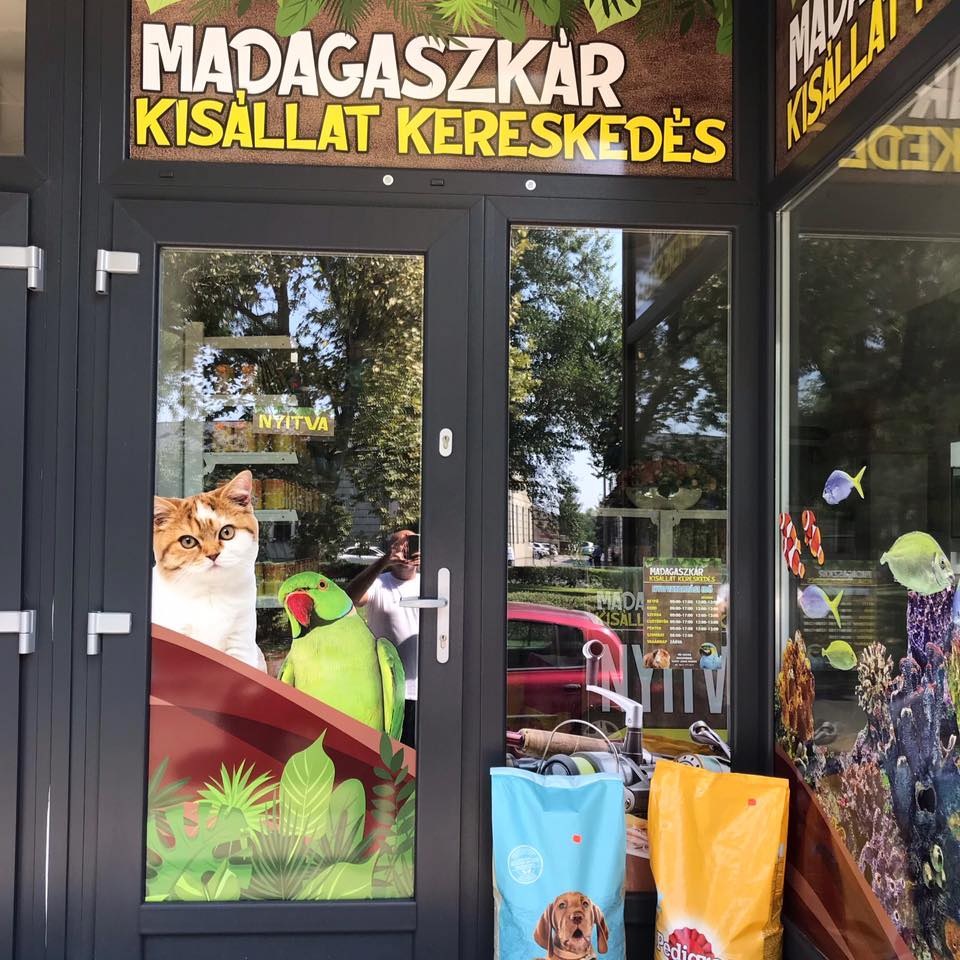 Madagaszkár Kisállat Kereskedés