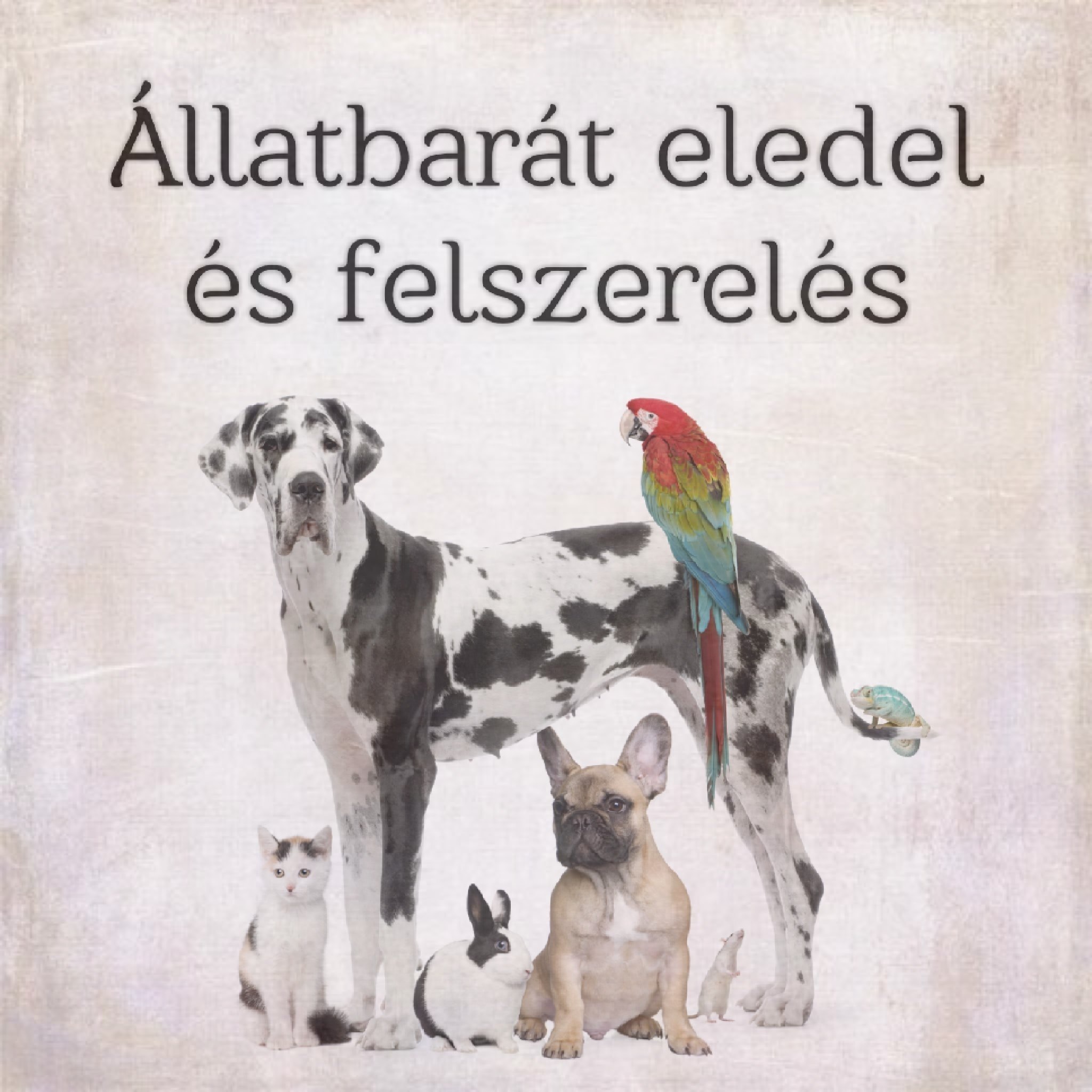 Állatbarát Eledel és Felszerelés