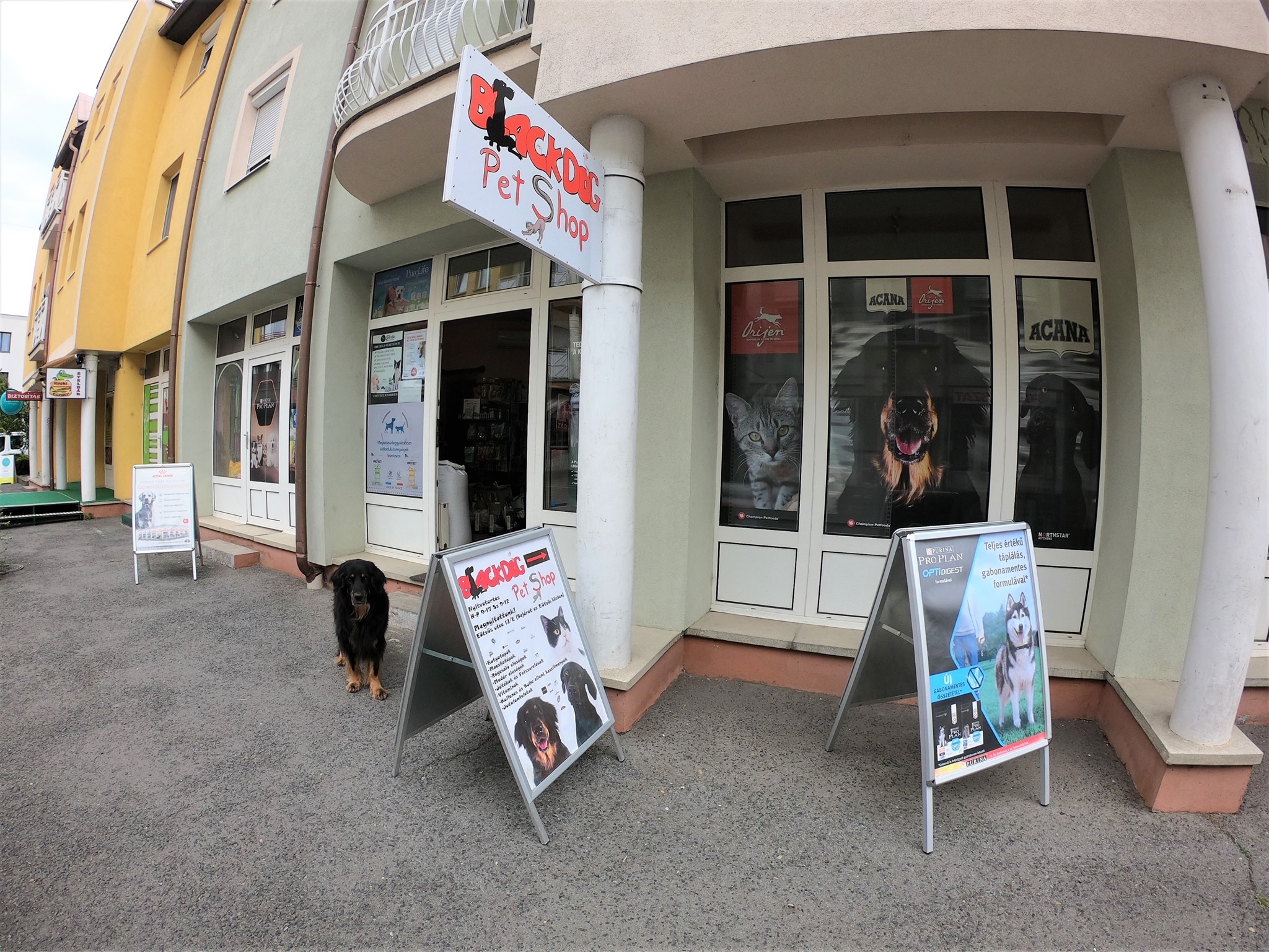 Black Dog Pet Shop