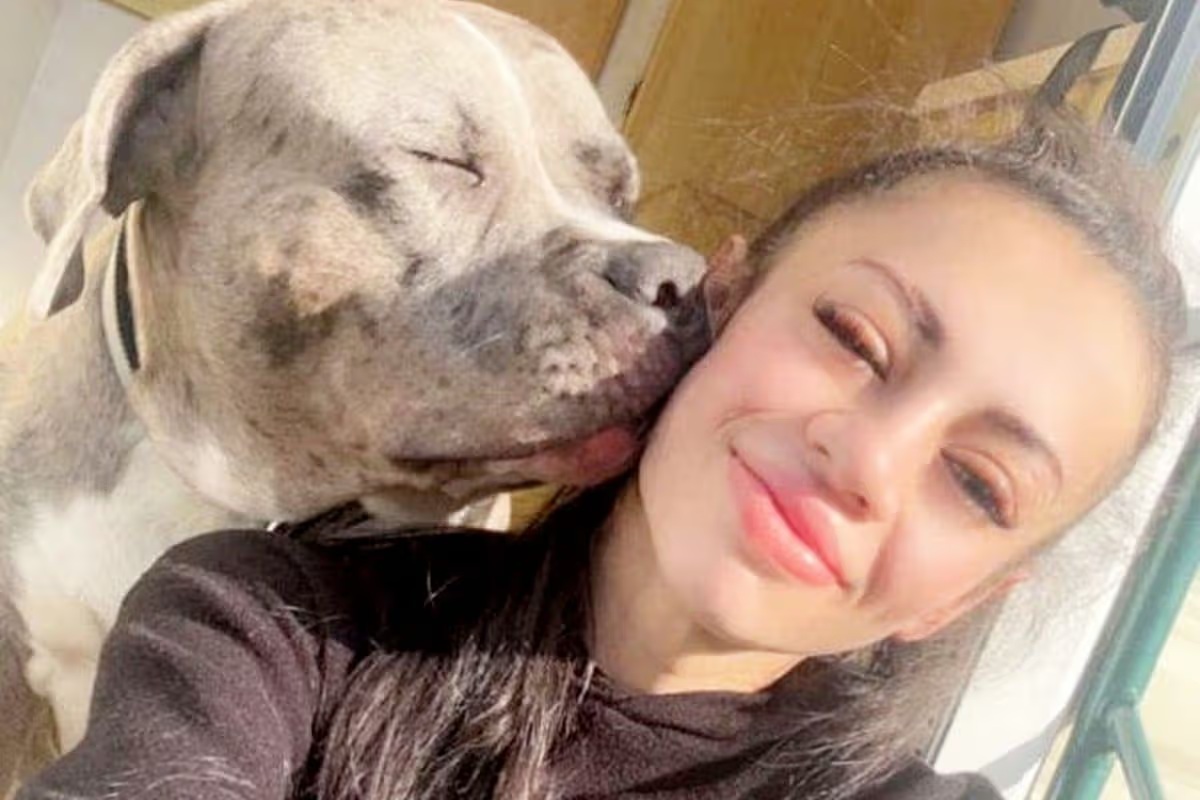 Lelőtt kutya, feldühödött gazda