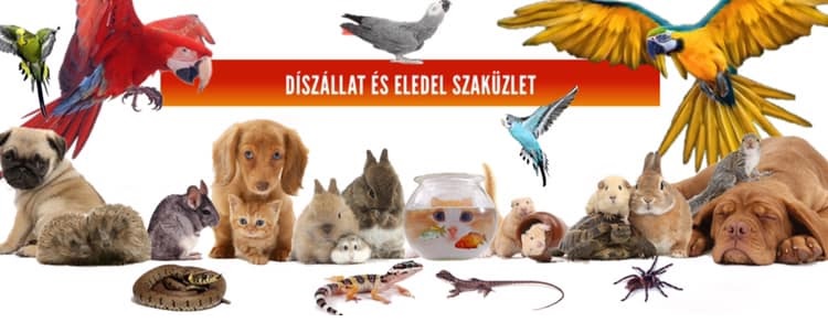 Díszállat és eledel szaküzlet