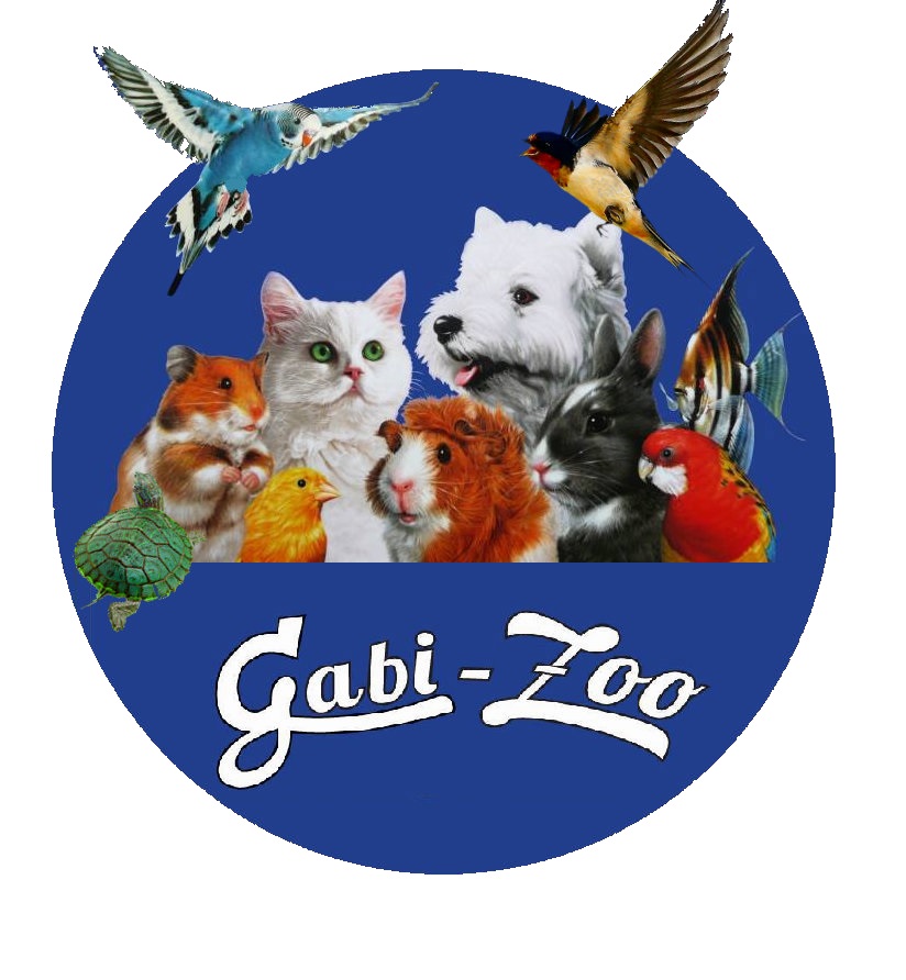 Gabi Zoo Díszállat Szakkereskedés