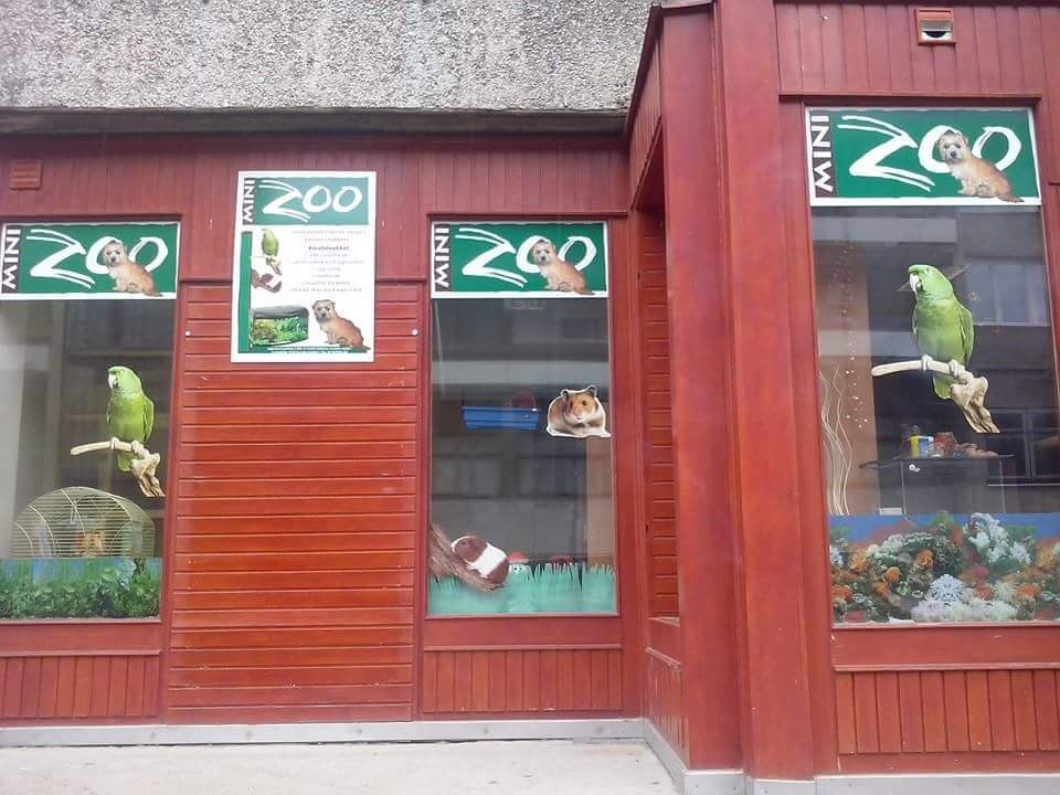 Mini Zoo