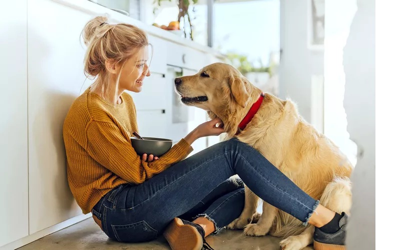 Így ismerheted fel a cukorbetegséget kutyádnál