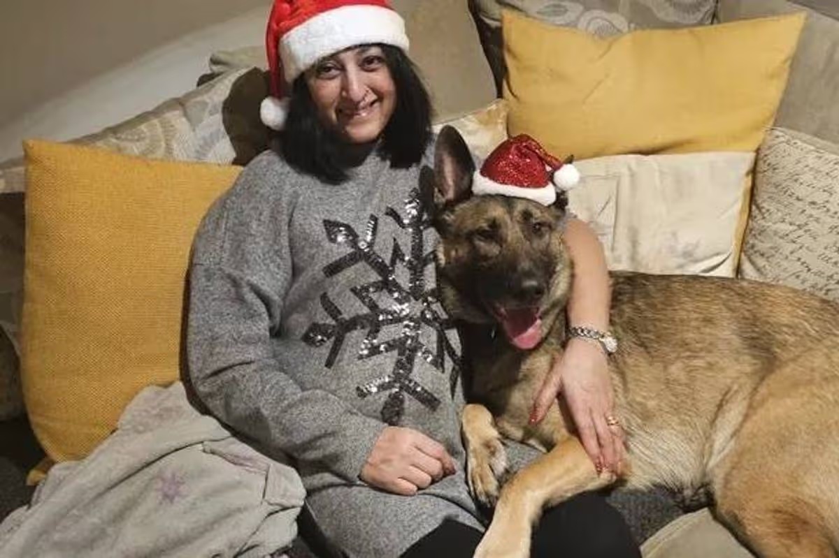 A kutya nyála okozta a súlyos fertőzést