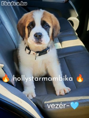 Bernáthegyi kis kan