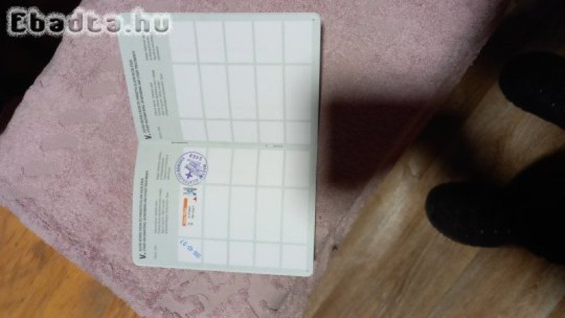 Kaukázusi kiskutyák gazdit keresnek