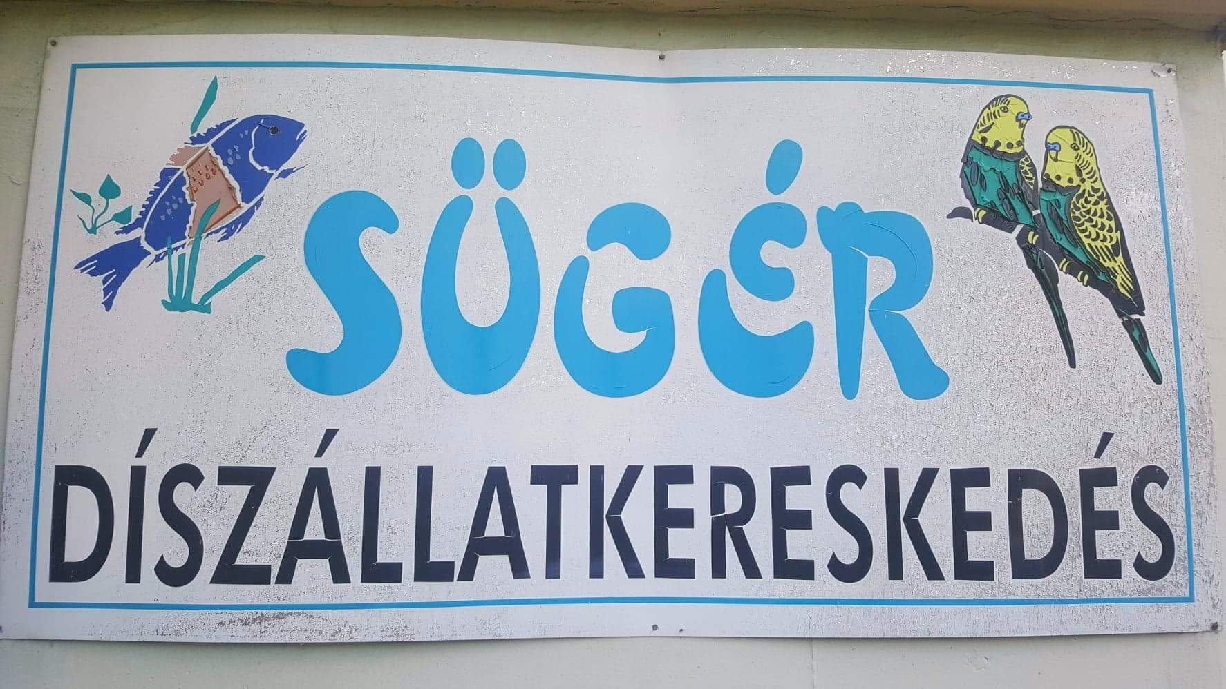 Sügèr Dìszàllat Kereskedès