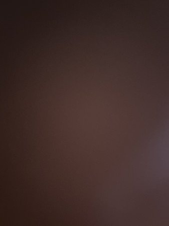 Angol Cocker Spánielt keresek