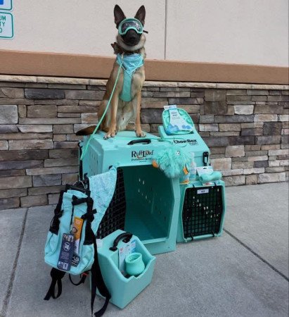 Ruff Land kennelek eladók