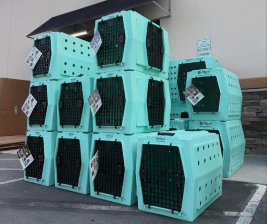 Ruff Land Kennels – Eladó 🐾