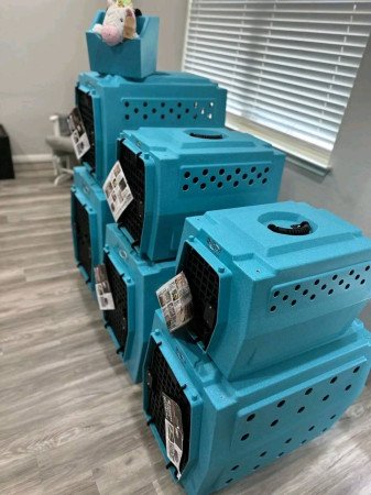 Ruff Land Kennels – Biztonságos és Tágas 🐾