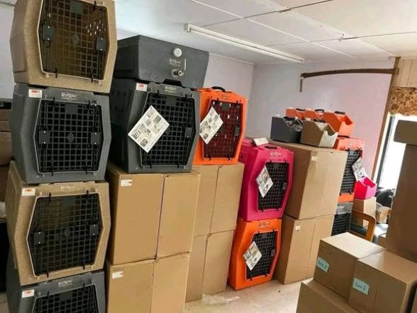 🐾 Ruff Land Kennels – Biztonságos &