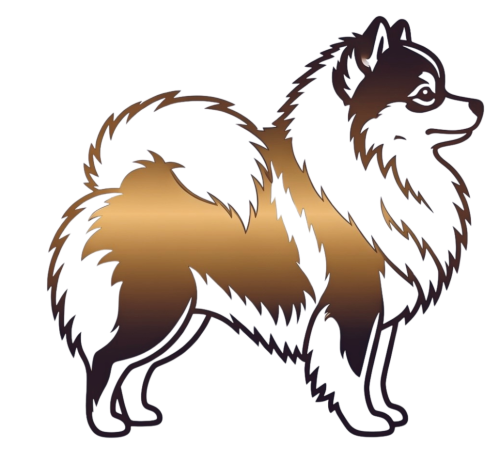 Pomerániai Alap kozmetika