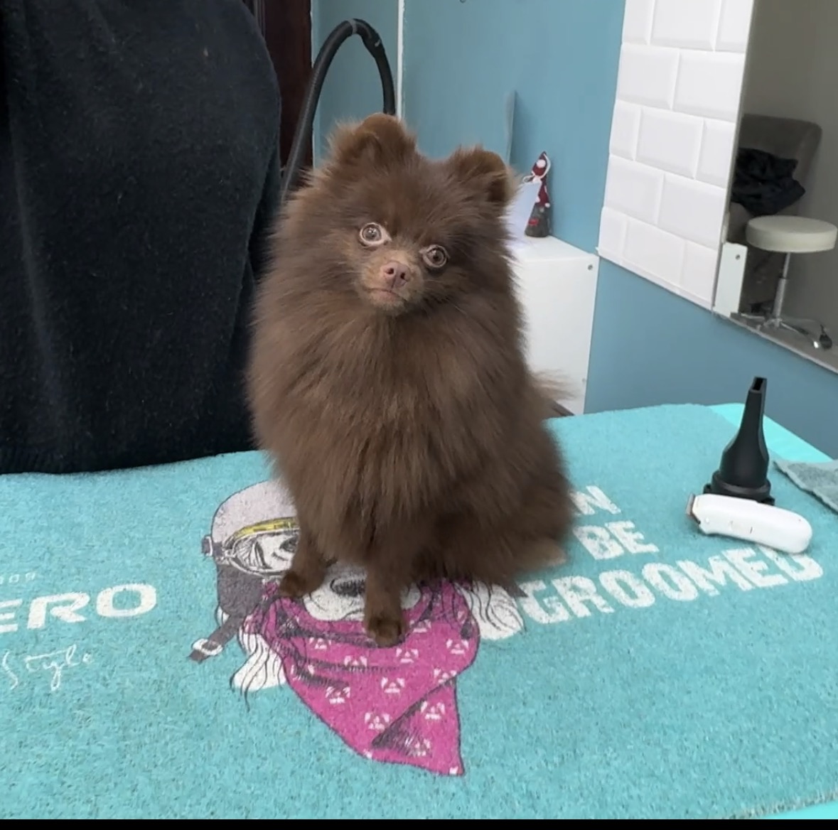 Pomerániai Alap kozmetika