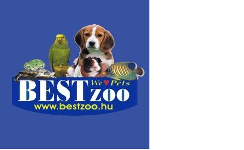 Bestzoo Corvin