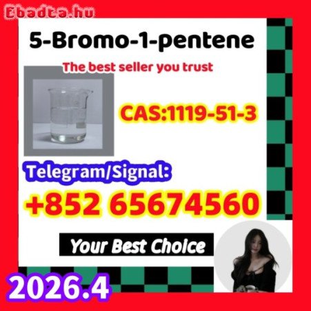 5-Bromo-1-pentene CAS 1119-51-3