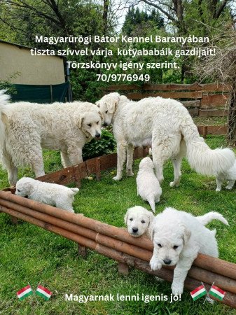 7634 Pécs Magyarürögi út