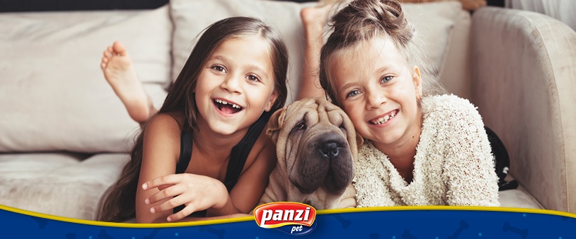 Panzi-Pet