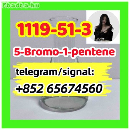 Bromo-1-pentene CAS
