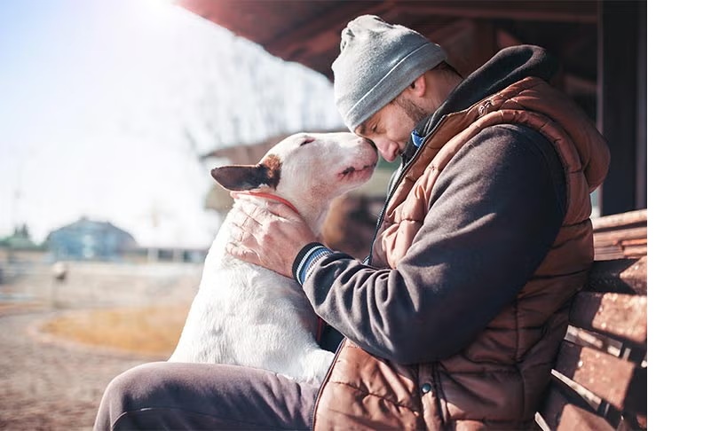 Hogyan válasszuk ki a megfelelő kutyamentő szervezetet