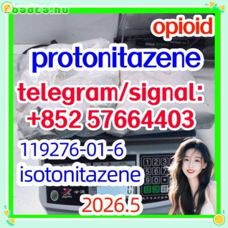Cas 119276-01-6 Protonitazene (Hydrochloride)