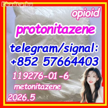 Protonitazene 119276-01-6