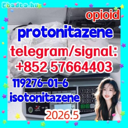Protonitazene hydrochloride | 119276-01-6