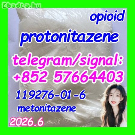 CAS: 119276-01-6 Protonitazene (hydrochloride)
