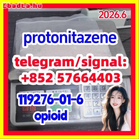 Protonitazene (hydrochloride) 119276-01-6