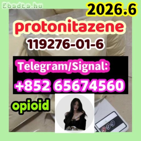 Protonitazene CAS 119276-01-6