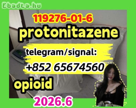 Protonitazene CAS 119276-01-6