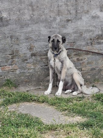 Baranya megye Dunaszekcső