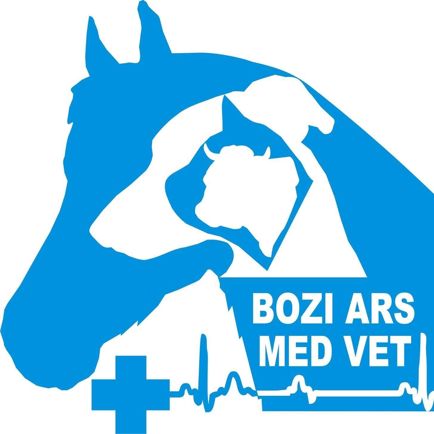 Dr. Bozi Róbert - Állatorvosi Rendelő