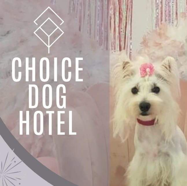 Choice Dog Hotel