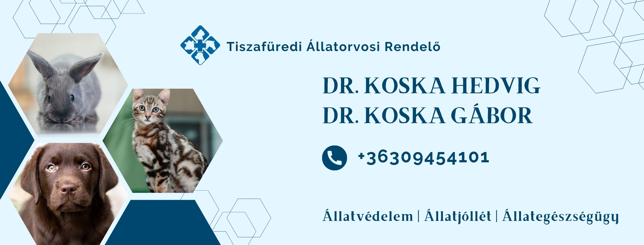 Dr. Koska Állatorvosi Rendelő