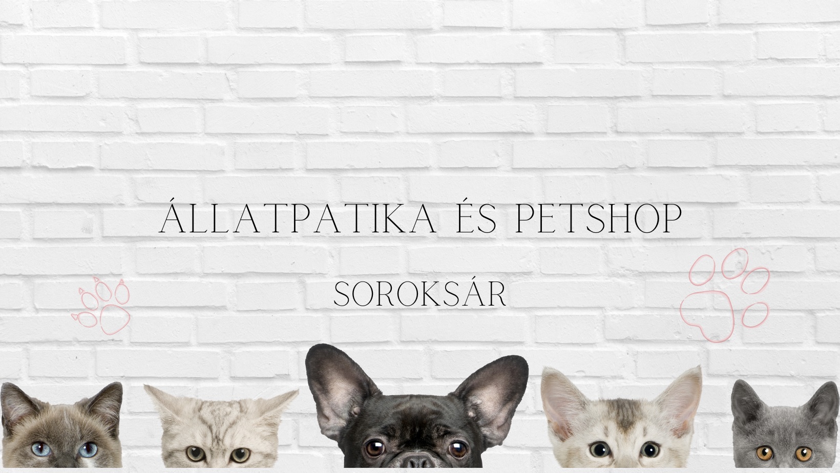 Állatpatika és Petshop