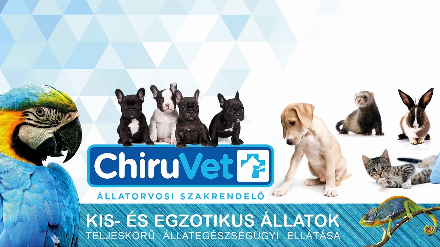 Chiru-Vet Állatorvosi Szakrendelő