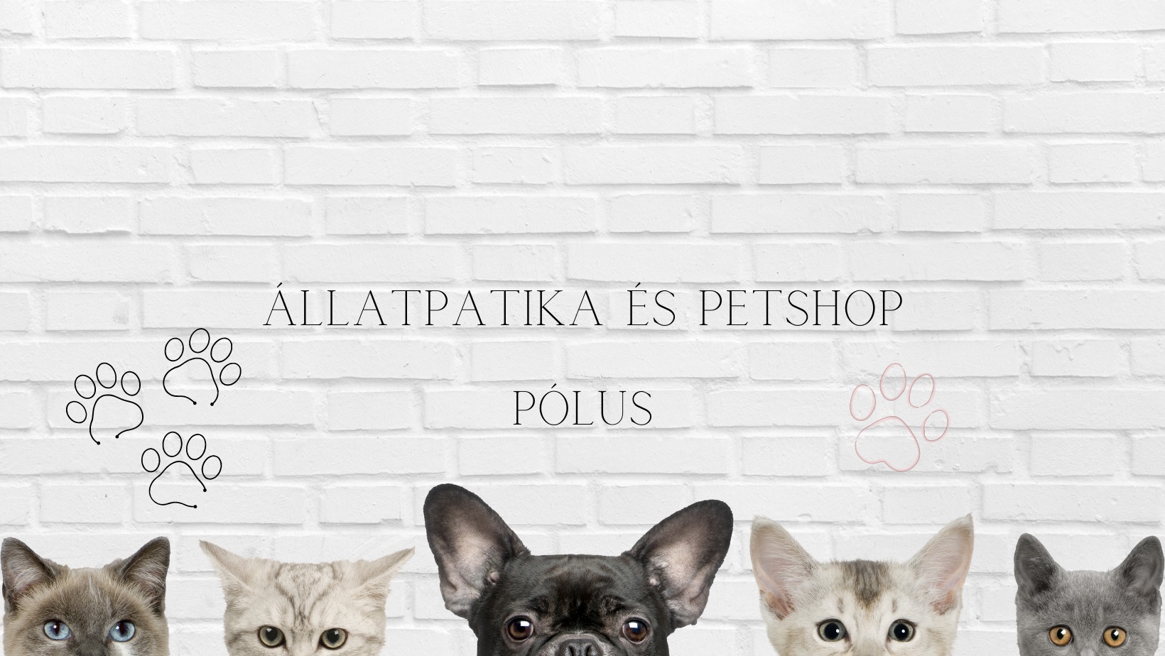 Pólus Állatpatika és Petshop