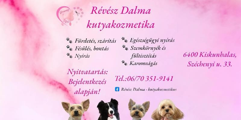 Révész Dalma - kutyakozmetikus