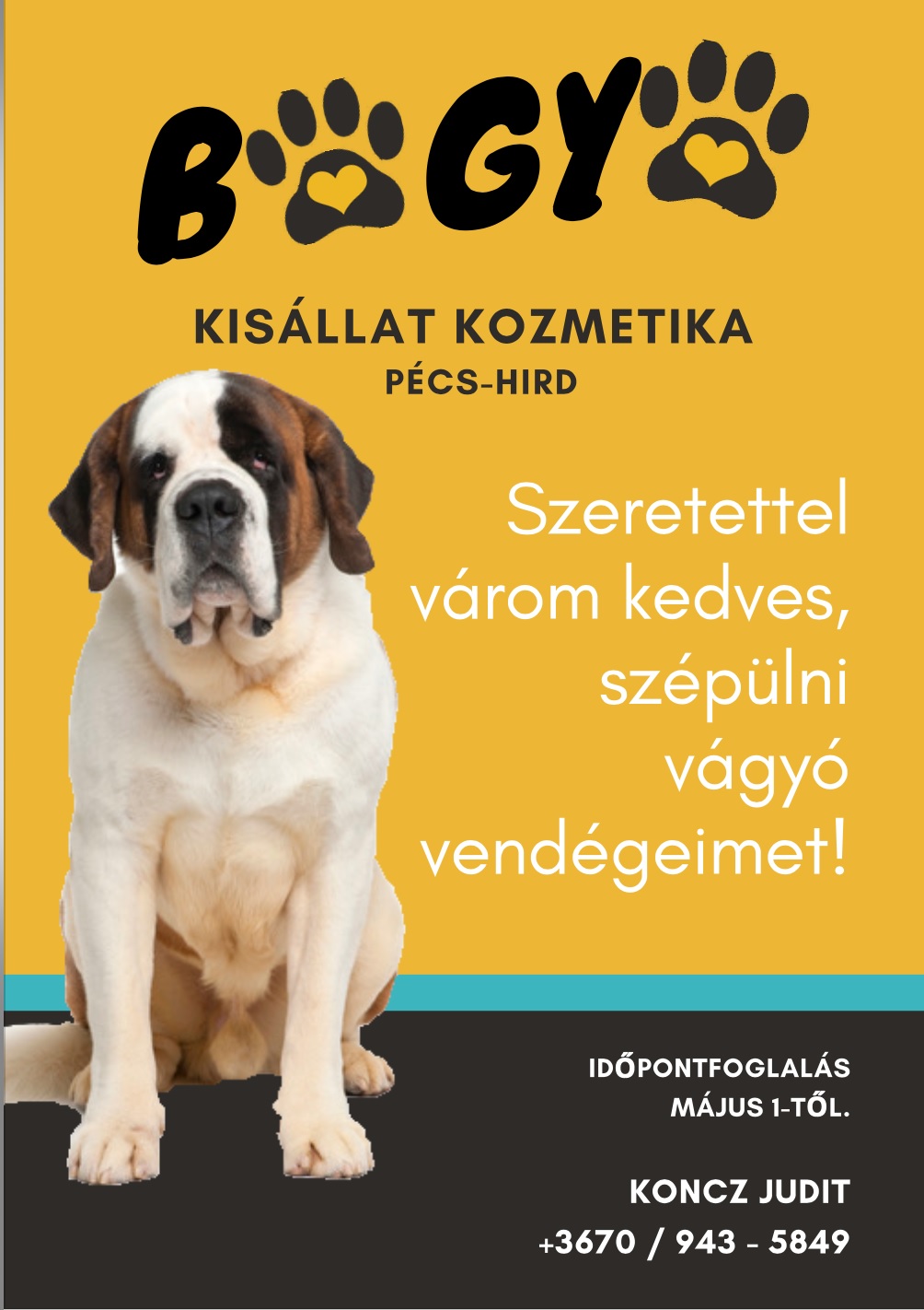 Bogyó kisállatkozmetika és Kutyapanzió