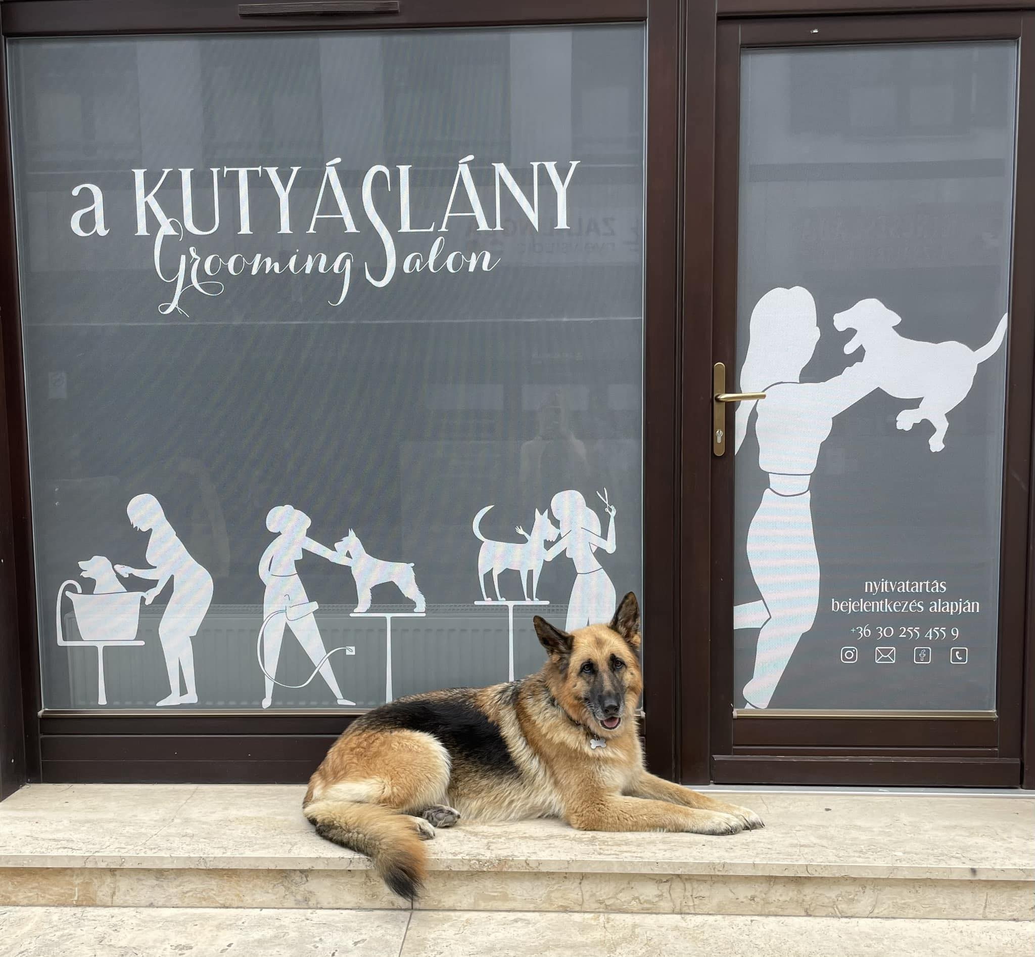 A Kutyáslány - Grooming Salon