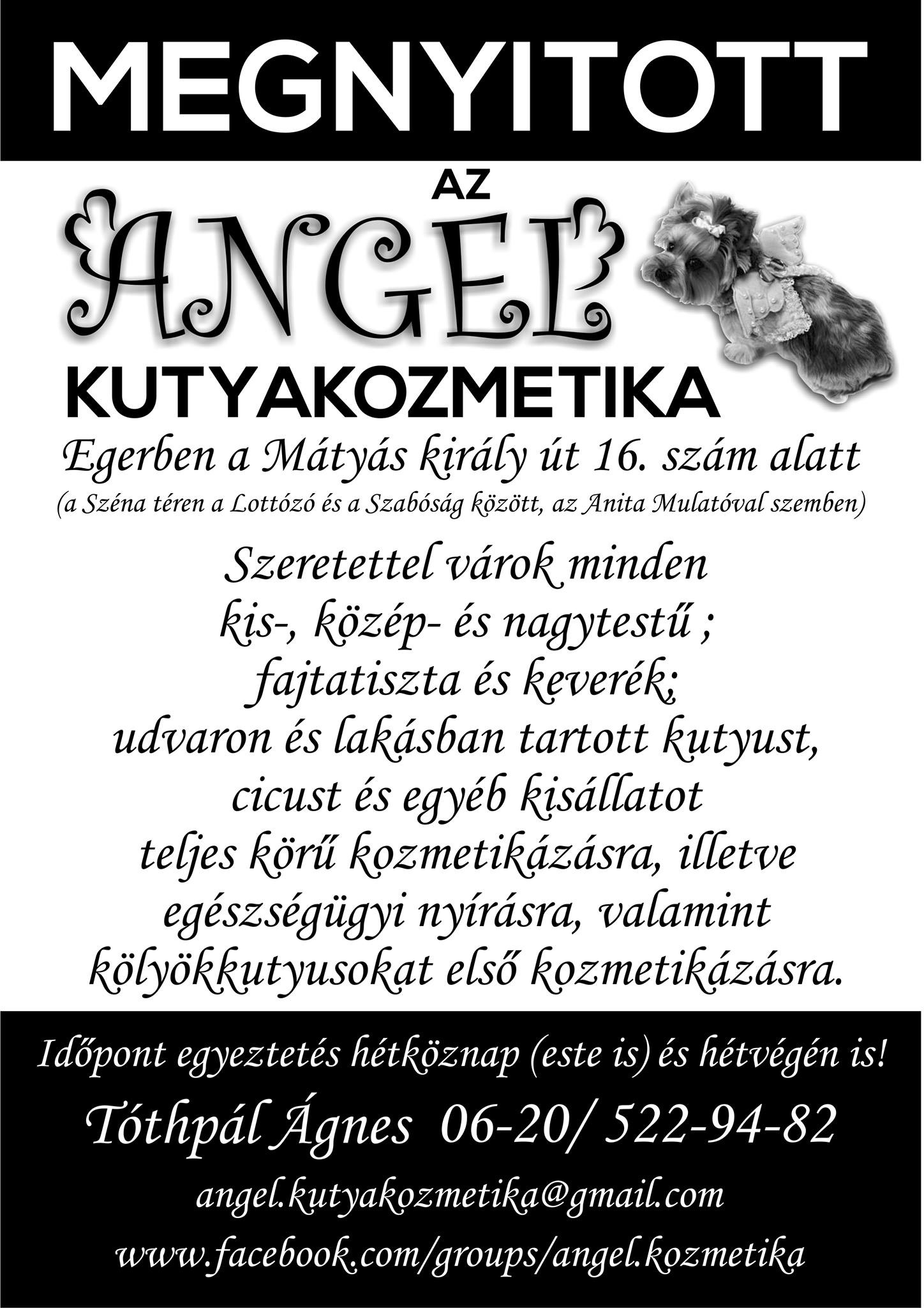 Angel Kutyakozmetika