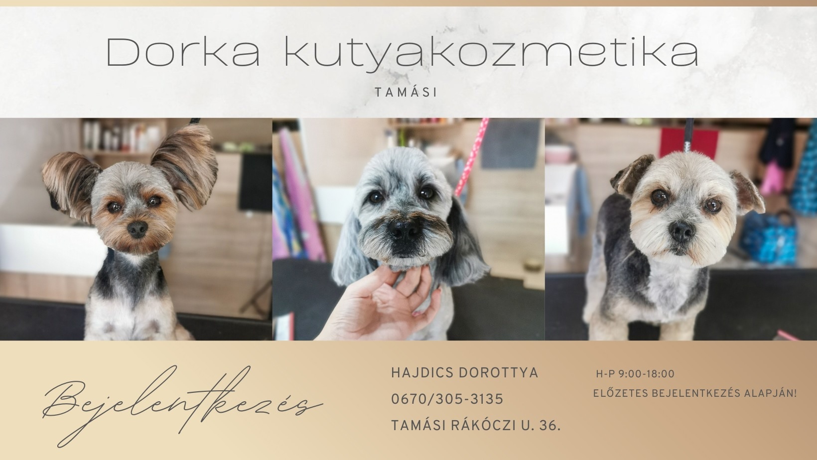 Dorka kutyakozmetika